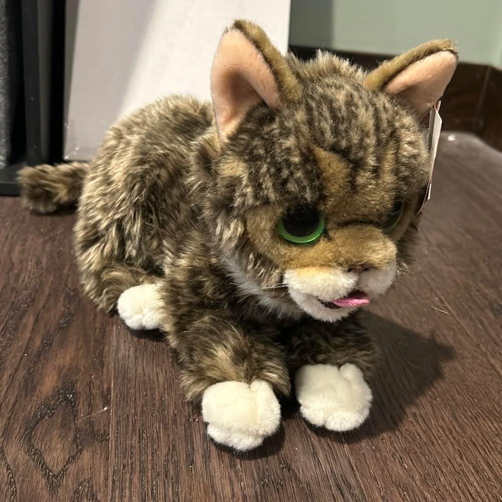 Lil bub pushie with tags